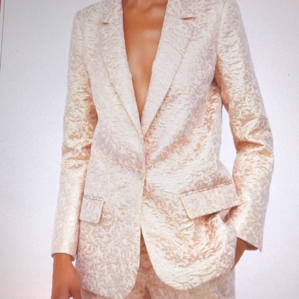 Zara Pretty in Pink and Gold Jacket